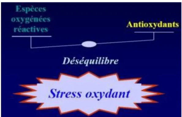 Figure 8. Balance radicaux libres /antioxydants (Shimizu, 2004). 