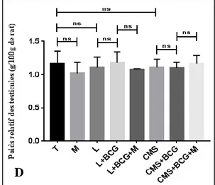 Figure 09. Poids relatif moyens des organes (g /100g de rats)  chez les rats mâles des  différents lots expérimentaux (n=5)