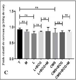 Figure 10. Poids relatif moyen des organes (g /100g de rats)  chez les rats femelles des  différents lots expérimentaux (n=5)