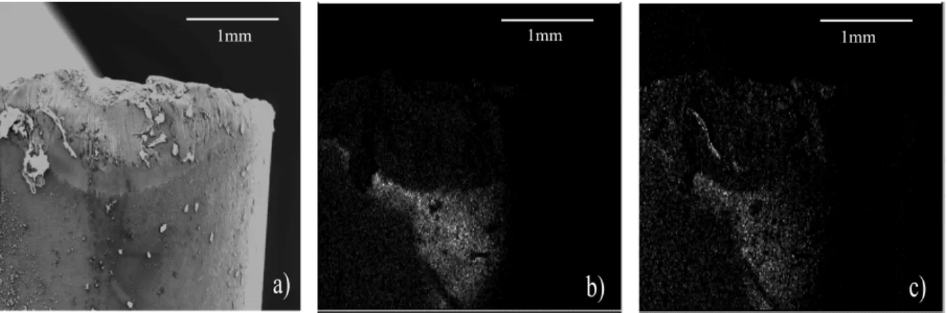 Figure 2-12: a) SEM of the flank face of a carbide insert (TH1000) after dry machining of Ti- Ti-MMC with v=80 m/min, f=0.1 mm/rev and a p = 0.15mm, b) oxygen map, c) magnesium map 