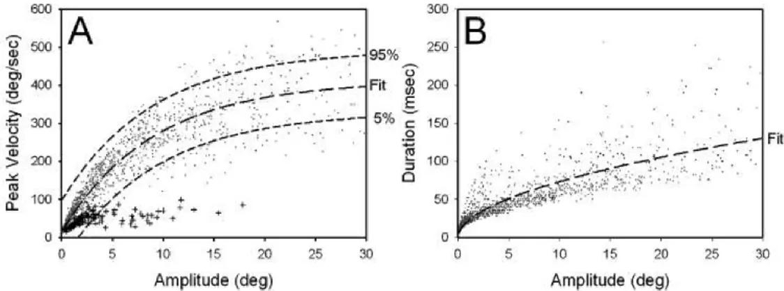 Figure 1.9 – La séquence principale des saccades. Il existe une relation appelée séquence prin- prin-cipale (A) entre l’amplitude et le pic de vitesse des saccades et (B) entre l’amplitude et la durée des saccades