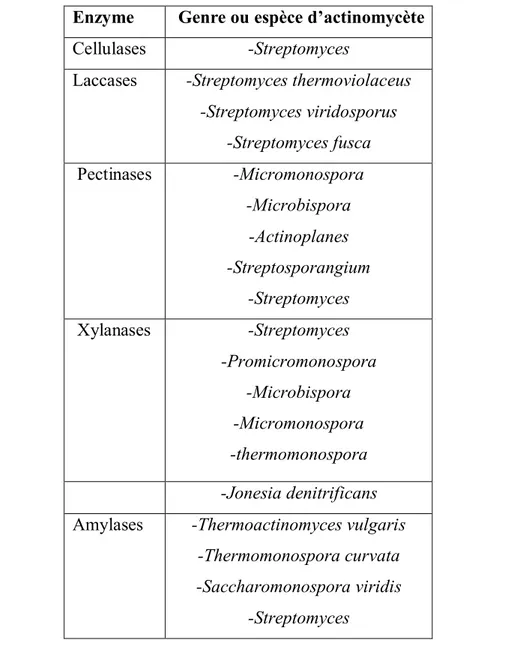 Tableau I : Quelques actinobacteries producteurs d’enzymes (Saci, 2012).  Enzyme    Genre ou espèce d’actinomycète 