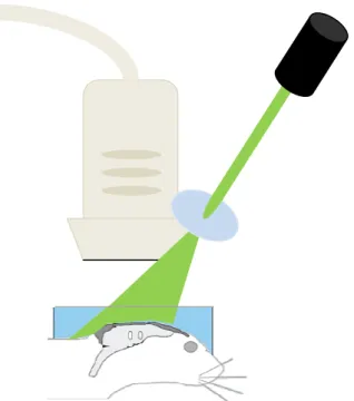 Figure 2.6 : Illumination du VeraSonics 