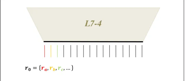 Figure 3.6 : Emplacement des mesures pour le L7-4