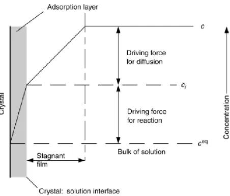 Figure 1.19 – Concept de transfert de matière entre la phase aqueuse et le crystal (hydrate) [7] 