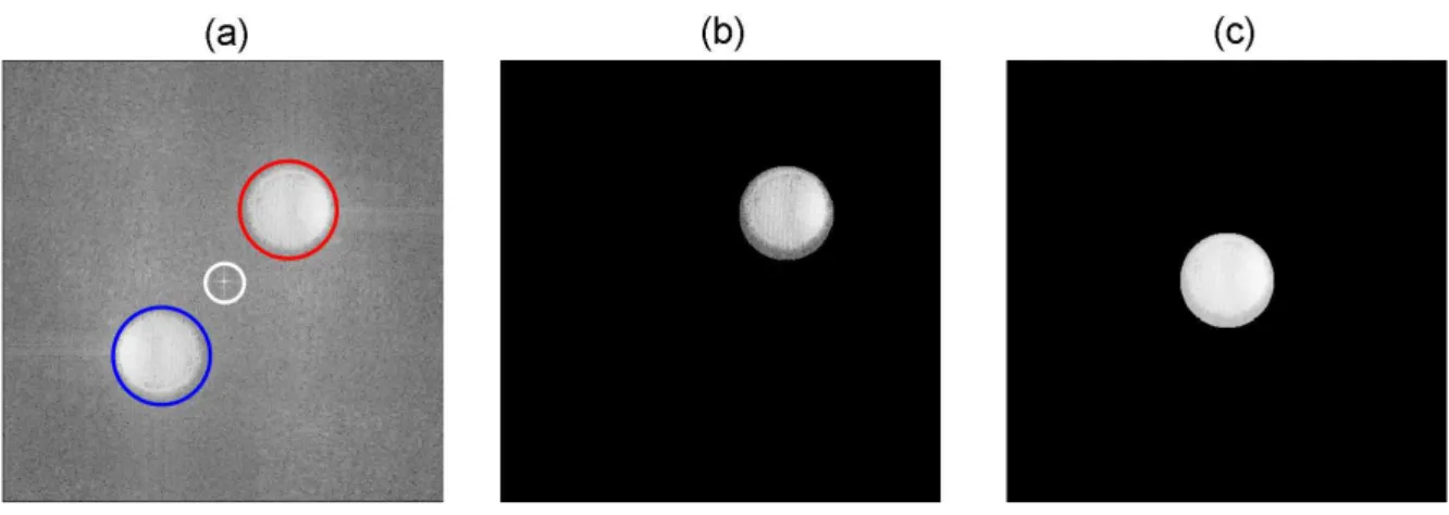 Figure 2.5 – k-space filtering in off-axis holography: (a) k-space of the recorded hologram showing the three diffraction order: zero order (white circle), −1 order (blue circle) and +1 order (red circle)