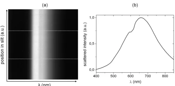 Figure 3.6 – (a) Spectral image of the tungsten halogen lamp. The white dotted lines indicate the zone of intensity integration