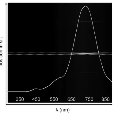 Figure 3.7 – Full-field image of an example spectrum of a nanostructure. The image displays the scattered intensity as a function of wavelength (horizontal axis)