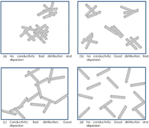 Figure 1-4 : Effet de la dispersion et de la distribution des nanotubes de carbone sur le taux de  percolation [11]