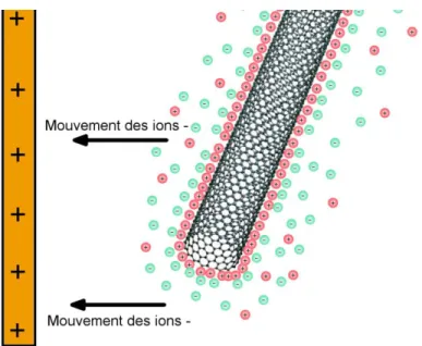 Figure 1-6 : Schéma illustrant le mécanisme d'alignement des nanotubes dans un champ  électrique DC basé sur la théorie du "double layer" 