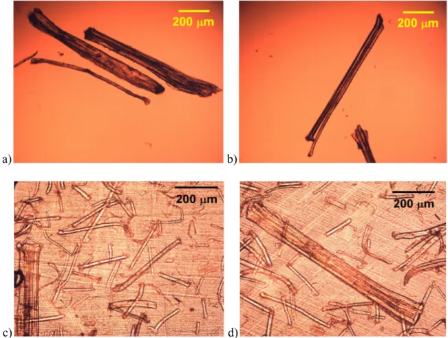 Figure 4.2: Optical micrographs of: a), b) as-received flax fibers and c), d) 5 wt% PLA-flax fiber  composite film, 60 µm thick
