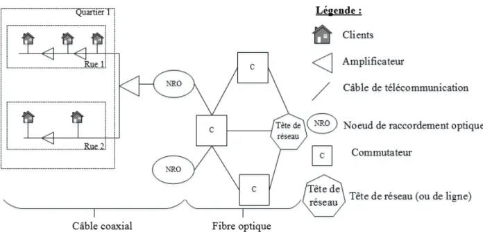 Figure 1-6 : Réseau de câblodistribution (adaptée de Tanenbaum et Wetherall, 2011)  Dans un réseau de câblodistribution, les signaux proviennent d’une tête de réseau qui peut être  soit une antenne déployée pour capter les signaux télévisés aériens, soit u