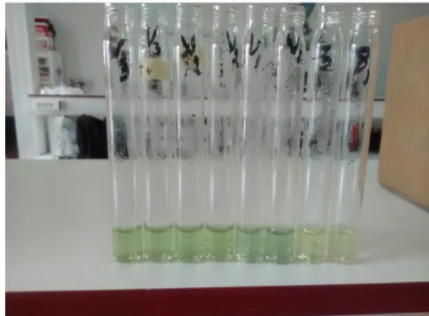 Figure 10. Test du TAC (coloration en vert) II.5.3. Piégeage du radical libre DPPH (2,2-diphényle-1-picrylhydrazyl)