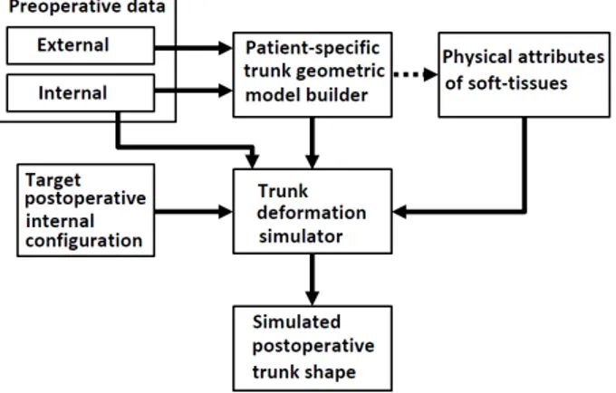 Figure 4.4 Flow chart of the postoperative trunk shape simulation.