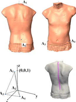 Figure 5.3 Anatomical landmarks for the normalization of the dataset. Four landmarks (A 1 )