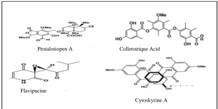 Figure 3. Structures de certains métabolites secondaires utilisés comme composés  antibactériens (Deshmukh et al., 2015)