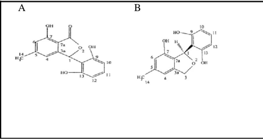 Figure 7. Structure de l’isopestacin (A), et de la Pestacin (B) (Touseef, 2006). 