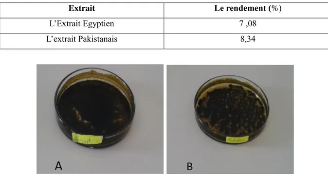 Tableau III : les rendements des extraits de Majorana hortensis 