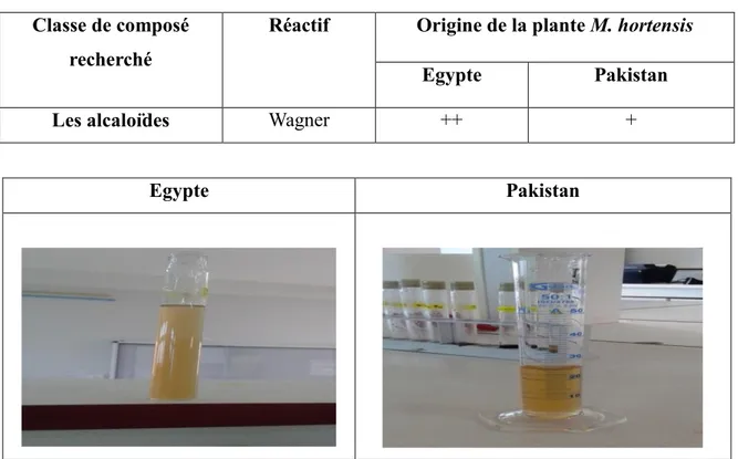 Tableau V : Détection des alcaloïdes  Classe de composé 