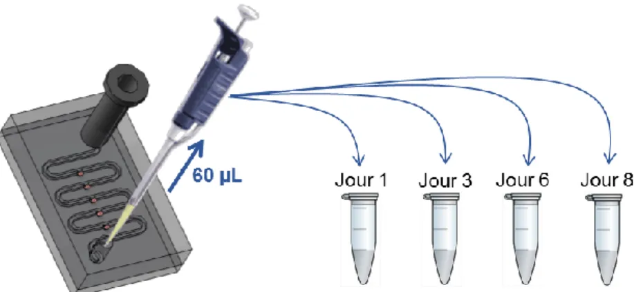 Figure  2.5:  Aperçu  de  la  procédure  pour  changer  le  milieu  et  en  collecter  des  fractions