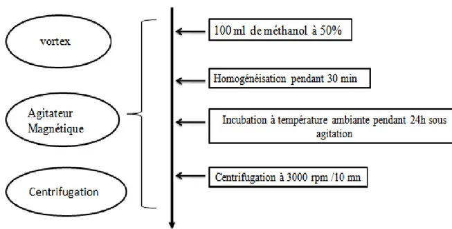 Figure II.2 : Protocole d’extraction des composés phénoliques (Tawaha et al ., 2007). 