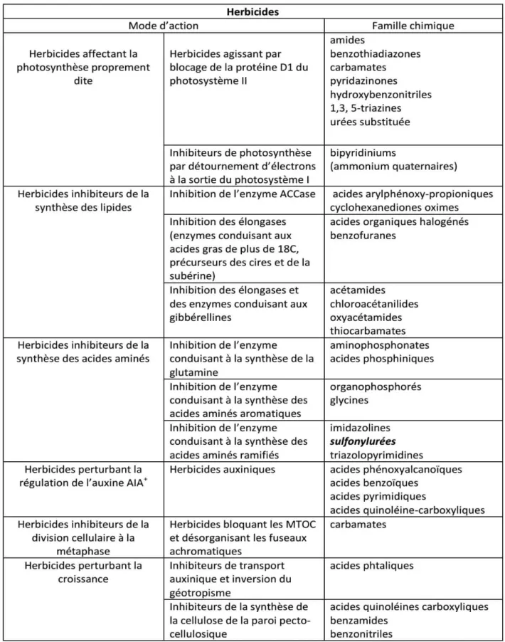 Tableau 1 : classification des herbicides selon leur mode d’action ( Calvet et al., 2005)  