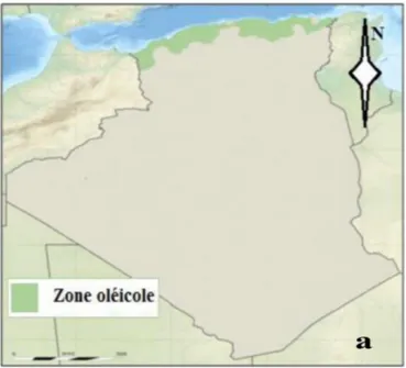 Figure 02 : Zone oléicole en Algérie (Oreggia et Marinelli, 2017). 