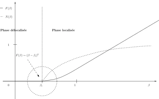 Figure 1.2. L’´energie libre et la fraction de contact pour un mod`ele d’accrochage homog`ene