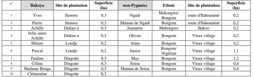 Tableau 2. Propriétaire, site de plantation et superficie des plantations à Ekata. 