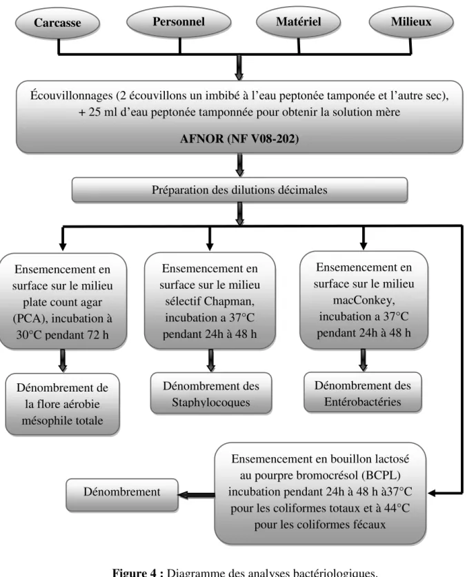 Figure 4 : Diagramme des analyses bactériologiques. 