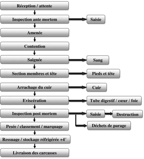 Figure 5 : Diagramme de production des carcasses. 