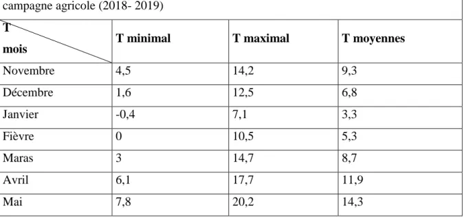 Tableau  II.2  :  Données  climatiques  (températures)  de  la  région  de  Sétif  durant  la  campagne agricole (2018- 2019) 