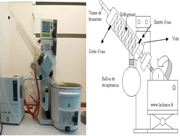 Figure 9 .Concentration sous vide du filtrat (Originale,2019). 