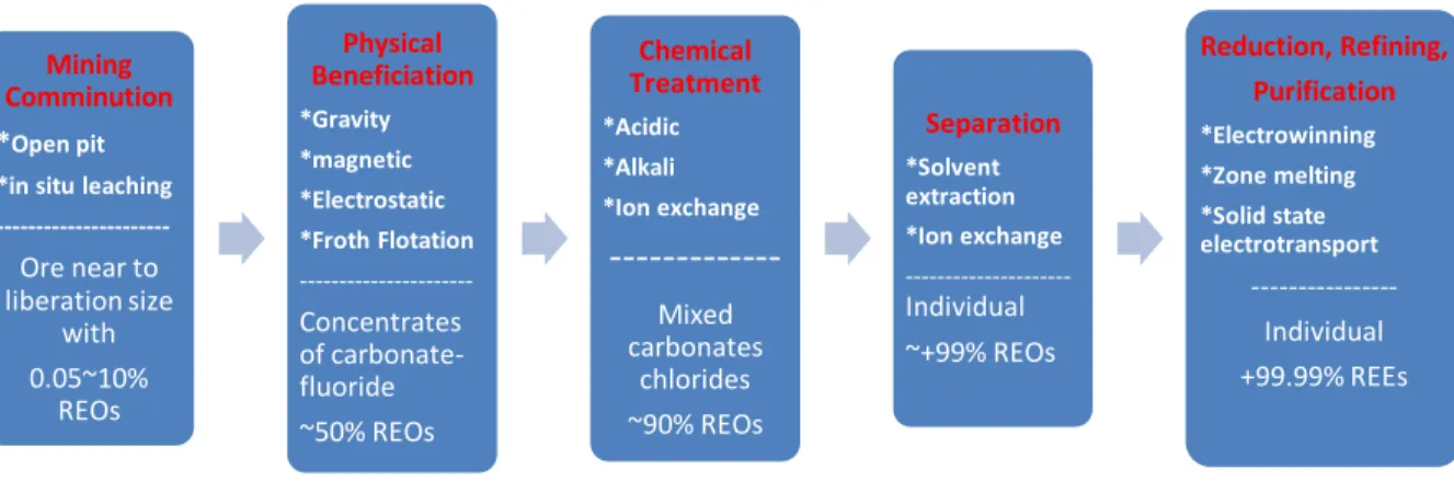Figure  2.4 General processing routes for REE ore (Navarro and Zhao 2014) 