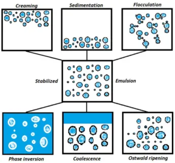 Figure  2.6  Schematic representation of various breakdown processes in emulsion  or mechanisms of  destabilization of an emulsion (Khatri 2010) 