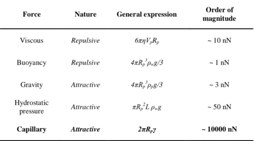 Table  2.1 Force analysis during adsorption (Tsabet and Fradette 2016) 