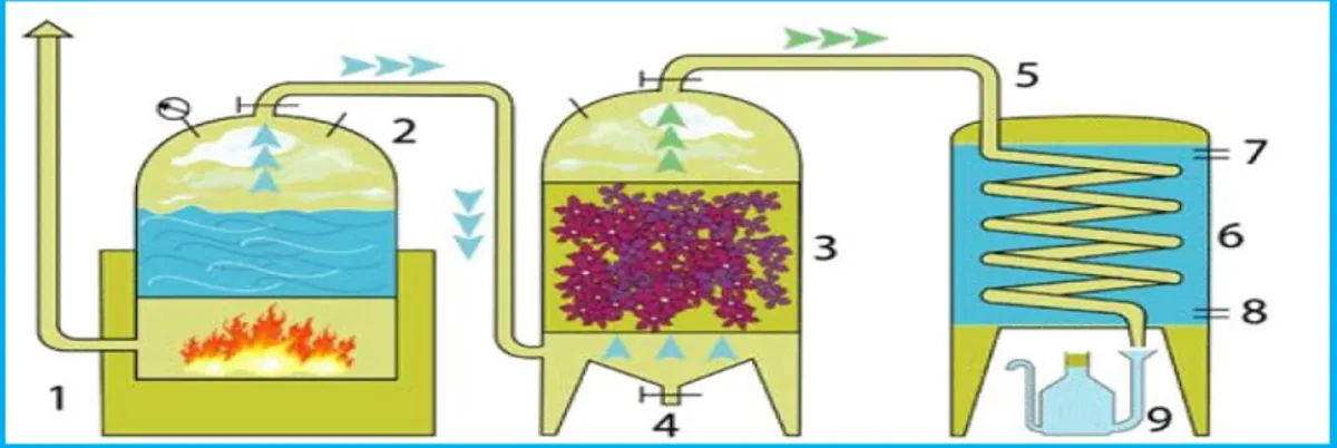 Figure 5 : Distillation à la vapeur d'eau (Blondel, 2014) 