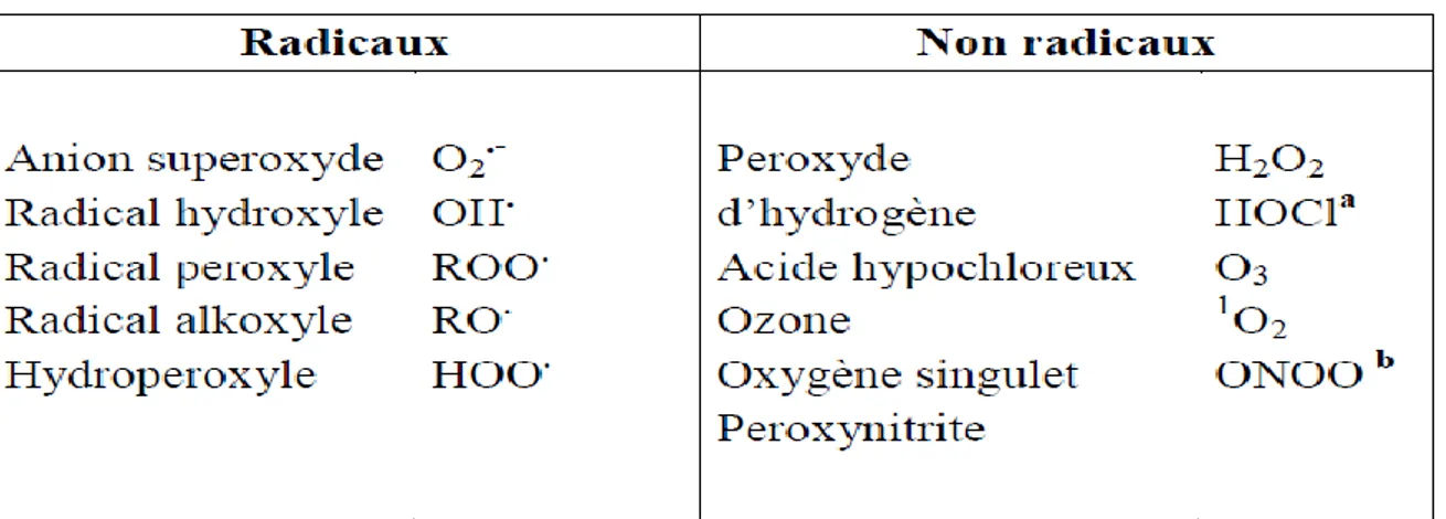Tableau 03: Espèces réactives oxygénées (Hadjigogos, 2003) 