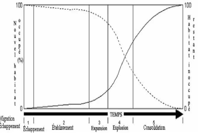 Figure 04 : Phases conceptuelles d’invasion progressive d'une mauvaise herbe dans le temps, et  la relation avec le pourcentage de terre occupée et non occupée de Williams (1997)