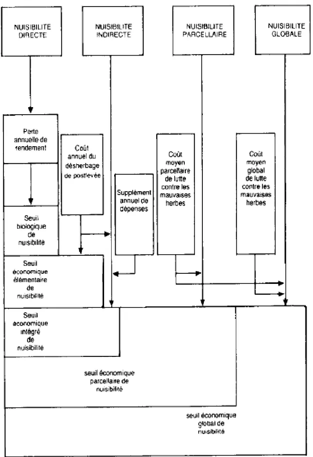 Figure 06 : seuils de nuisibilités des mauvaises herbes (Caussanele, 1989) 