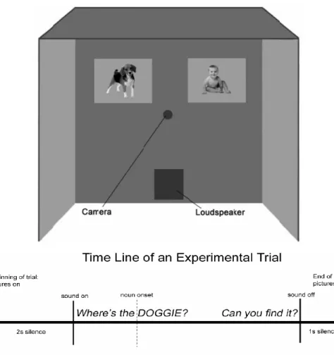 Figure 2. Configuration of a test booth and schematic time line of a typical LWL trial, adapted from Fernald et al