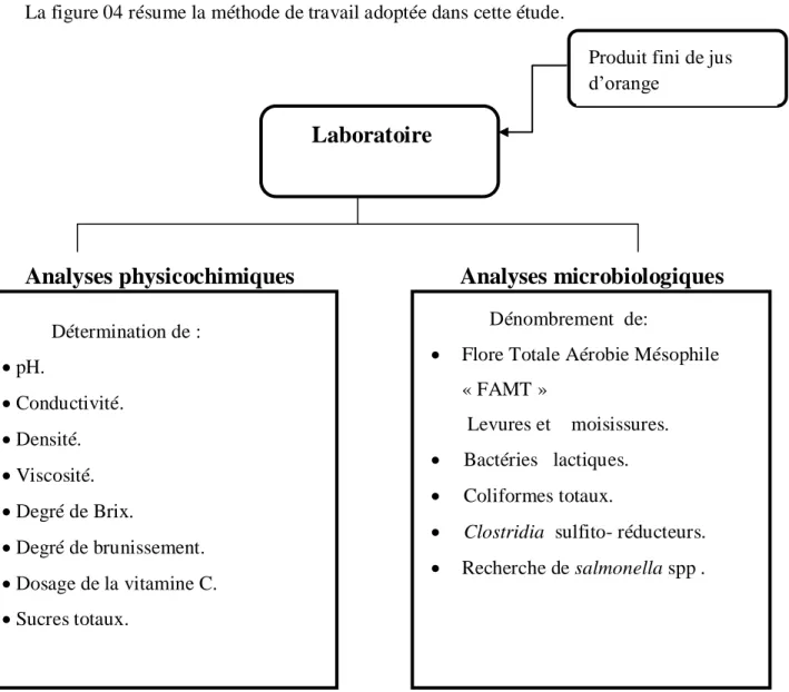 Figure 04: Procédure expérimentale adoptée.