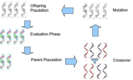 Figure 2-10 : Schematic of an EA loop [57]  2.3  Multi-fidelity surrogate-based optimization 