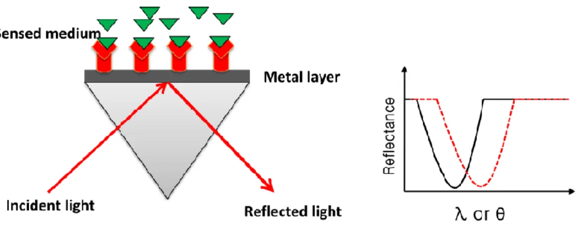 Fig. 1. (a) prism-coupling configuration and (b) resonance dip and its shift in the reflected light  spectrum