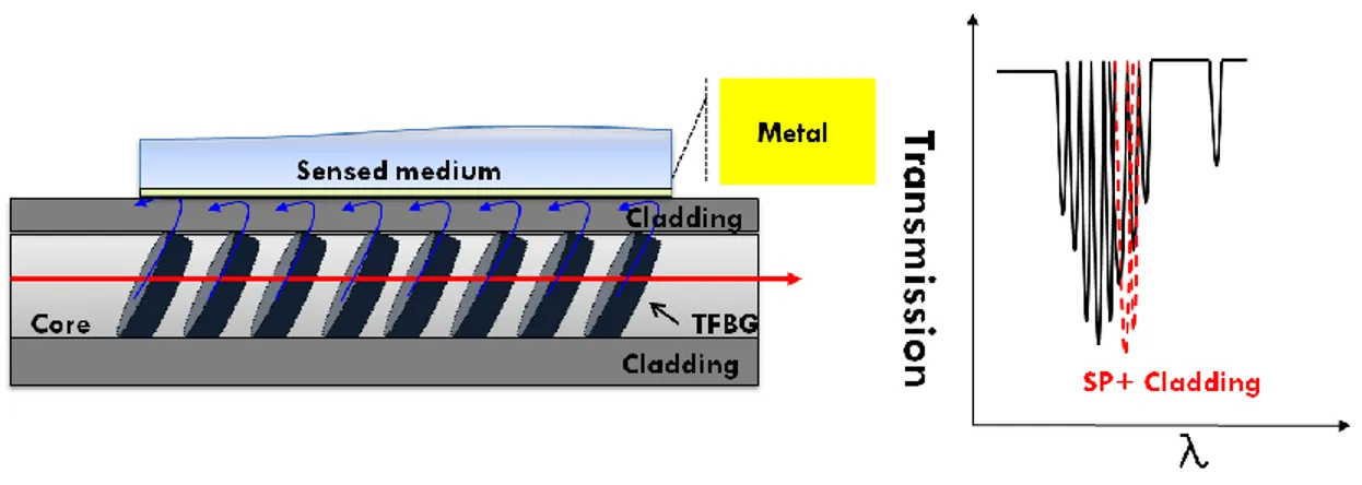 Fig. 9. SPR-cladding modes coupling using tilted fiber Bragg gratings (TFBG). 