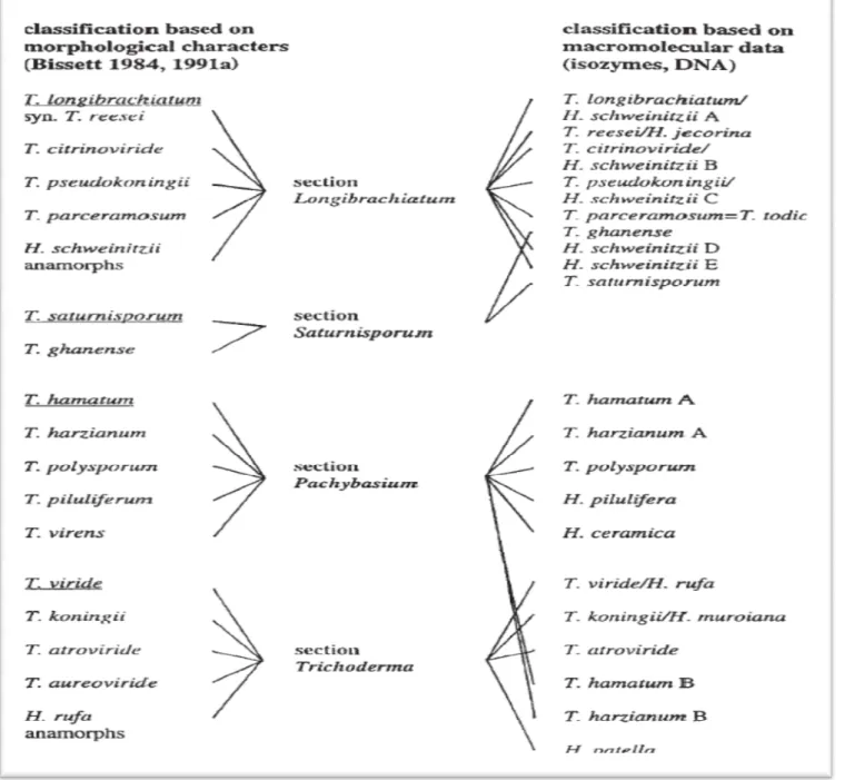 Figure 2 : Comparison de la  classification 