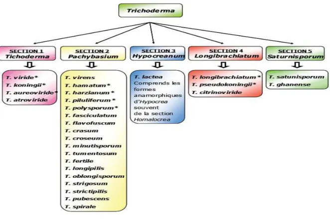 Tableau I : Comparaison des données sur l'exécution de la lutte chimique et biologique (Lenteren,  2006)