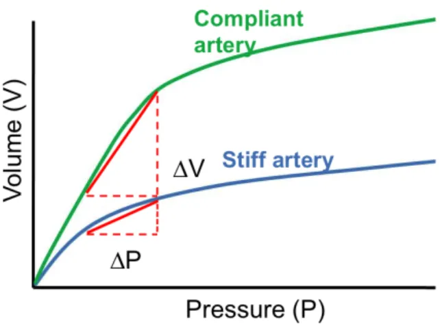 Figure 2.9 Profil de compliance pour deux types d’art` eres. Gracieuset´ e de Virginie Bolduc.