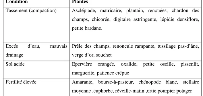 Tableau 4 : Quelque plantes indicatrices des conditions du sol (cloutier et leblanc.,1996) 