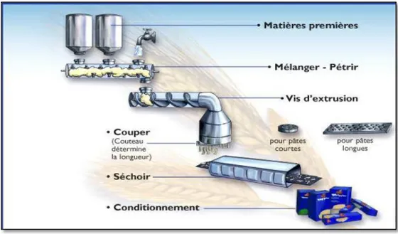 Figure 1 : Processus de fabrication des pâtes alimentaires (MICARD et al., 2009). 